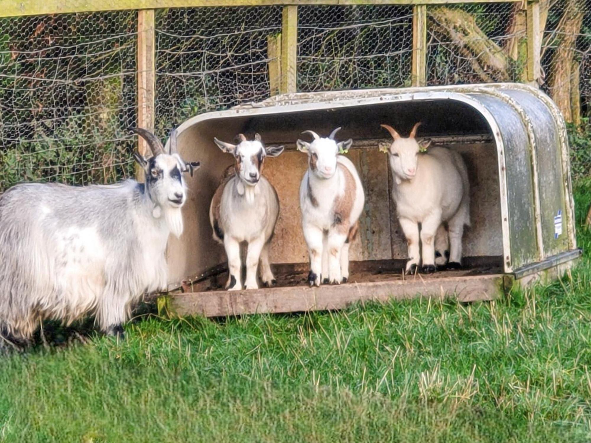 Bondcroft Farm Cottage Embsay 外观 照片
